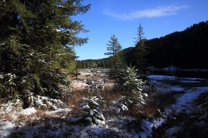 Spechtensee 62895 2017-10-31.jpg